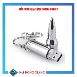 Usb hình viên đạn