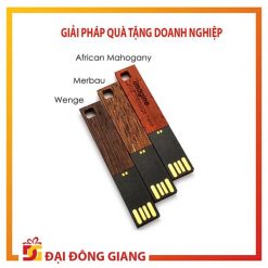 Bộ USB bằng gỗ cao cấp