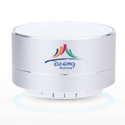 Loa bluetooth in logo lbv 002 4 600x600 1