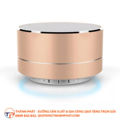 Loa bluetooth in logo doanh nghiep hien dai 1