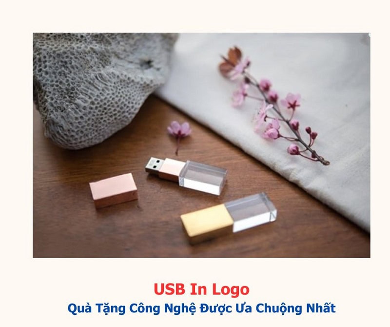 Usb in logo