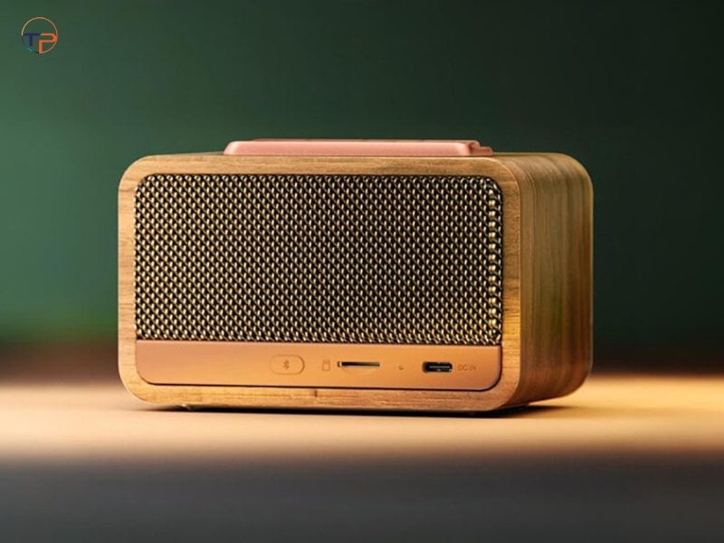 7+ Mẫu Loa Bluetooth In Logo Quà Tặng Thương Hiệu Đẹp, Ý Nghĩa 20 Loa bluetooth thiết kế cổ điển