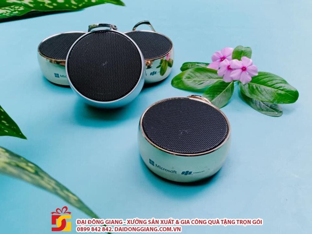 10+ mẫu loa bluetooth quà tặng in logo thương hiệu không thể bỏ qua 3