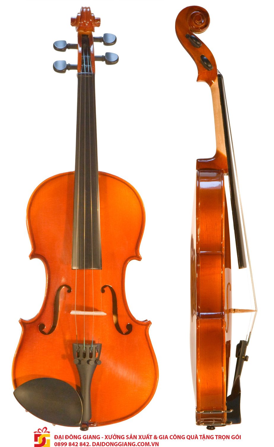 Đàn violon