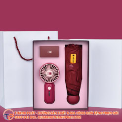 Bo qua tang o du usb quat mini sang trong