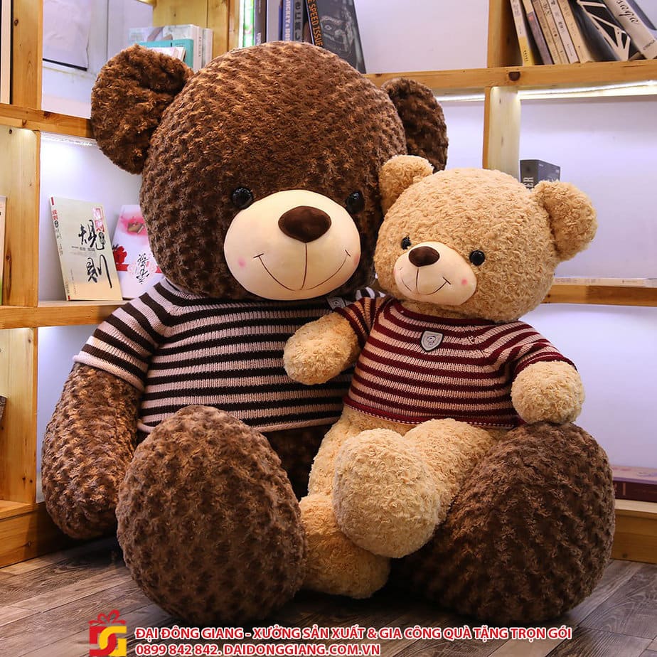 Gấu bông teddy