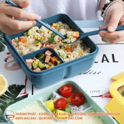 Hop dung com mau minimalist tien dung