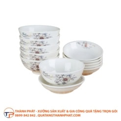 Bo chen dia in logo mau 5 tinh te