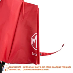 Du gap 2 in logo sang trong