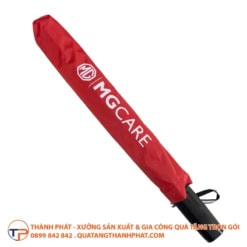 Du gap 2 in logo tinh te