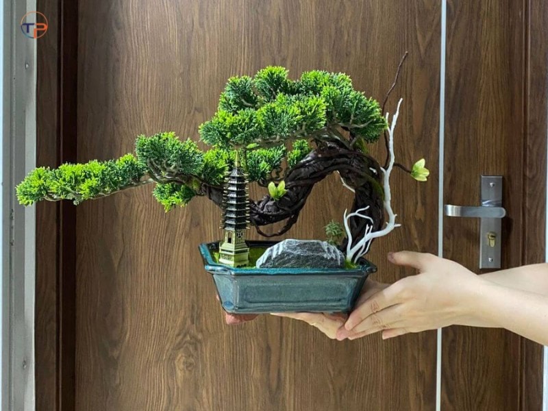 7 Món Quà Tặng Cho Người Mệnh Mộc Ý Nghĩa, Thiết Thực 18 Bonsai