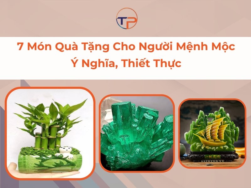 7 Món Quà Tặng Cho Người Mệnh Mộc Ý Nghĩa, Thiết Thực 12 Quà tặng cho người mệnh mộc