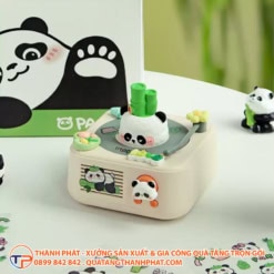 Bo qua tang sinh nhat gia si
