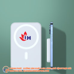 Pin
