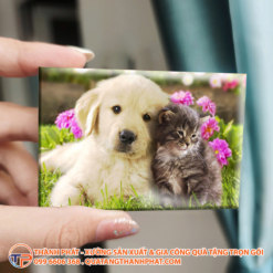 Ảnh Nam Châm Cao Cấp Quà Tặng Lưu Niệm 15 In anh nam cham gia re