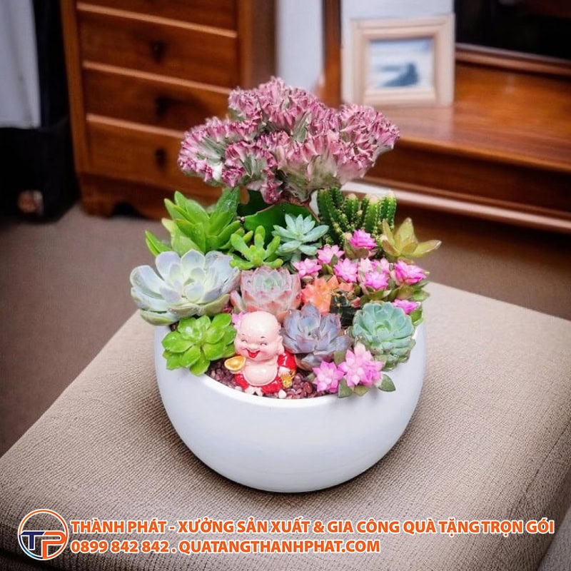 Sen da giup thu gian xa stress