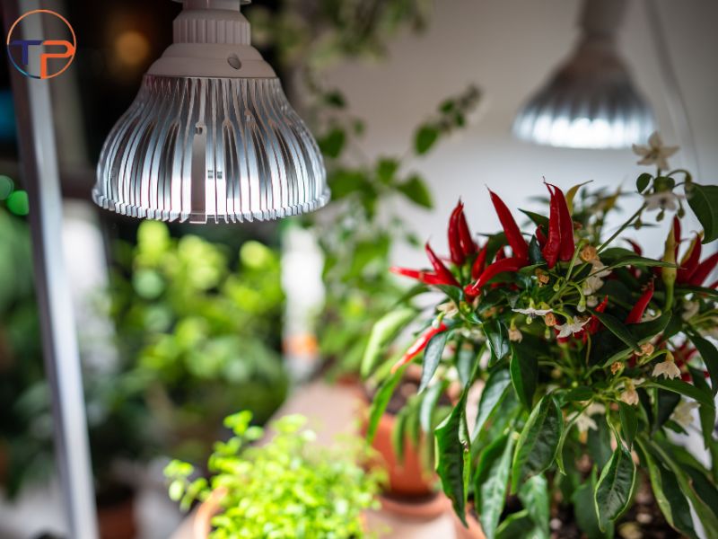 Top 10+ Quà Tặng Cho Dân Công Nghệ Độc Đáo, Ý Nghĩa 30 Den ban led
