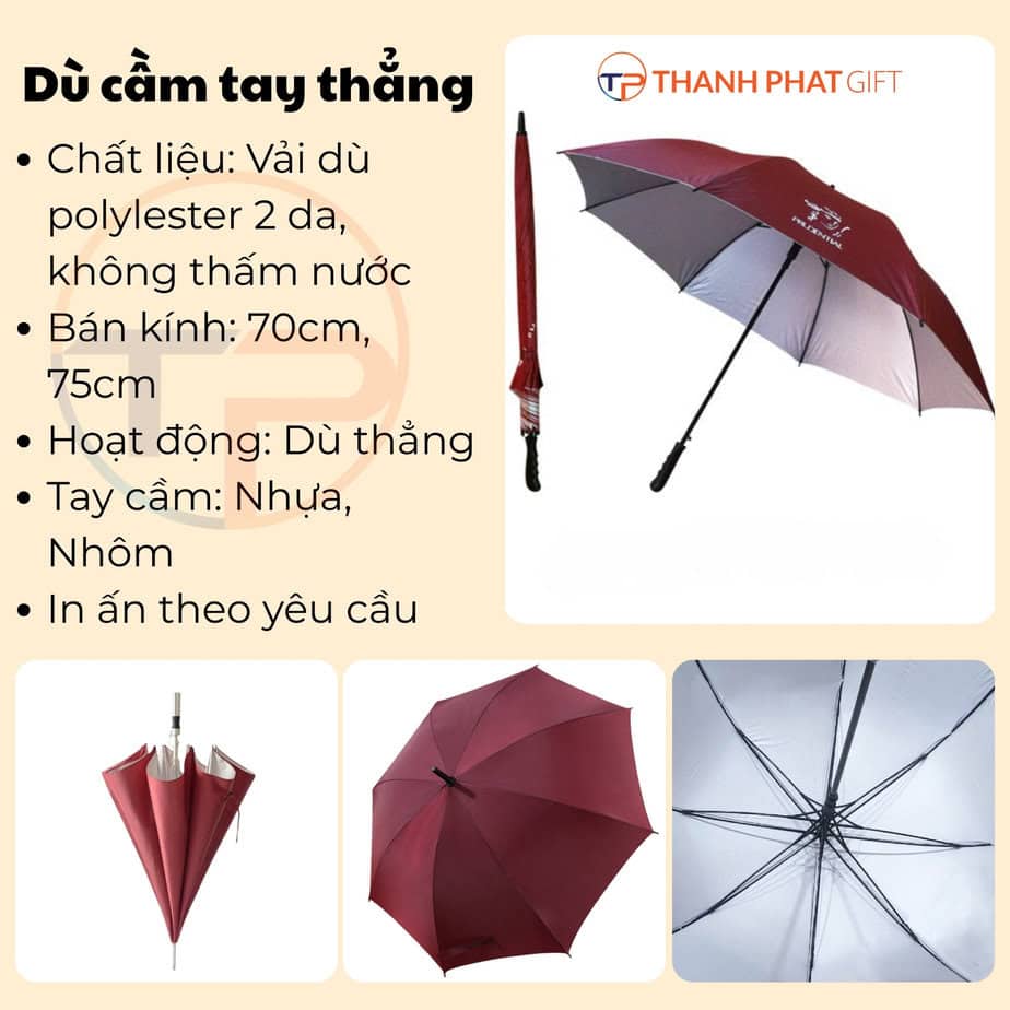 Dù Thẳng Cầm Tay Poly In Logo 26 Thong so du cam tay thang