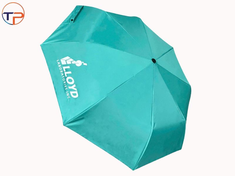 Gợi Ý Quà Tặng Đại Hội Phụ Nữ Các Cấp In Logo Ý Nghĩa, Thiết Thực 32 O du cam tay 1