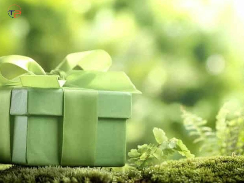 Top 5 Quà Tặng Doanh Nghiệp Trao Giải Cuộc Thi Đẹp, Ấn Tượng 16 Qua tang xanh 1