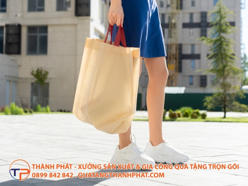 Vải Canvas Vs Vải Không Dệt: So Sánh Chi Tiết Để Chọn Đúng Chất Liệu Đẹp, Tối Ưu Chi Phí 15 Tui vai canvas