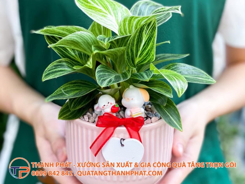 Bí Quyết Chọn Quà Tặng Cho Đối Tác Đạo Hồi Và Đạo Hindu Đúng Văn Hóa, Đúng Nghi Lễ 22 Qua tang